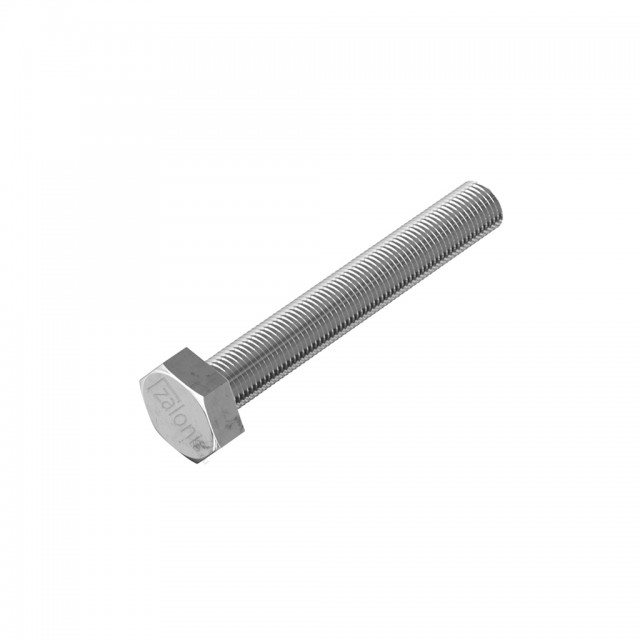 HEXAGON HEAD STEEL BOLT M10x70